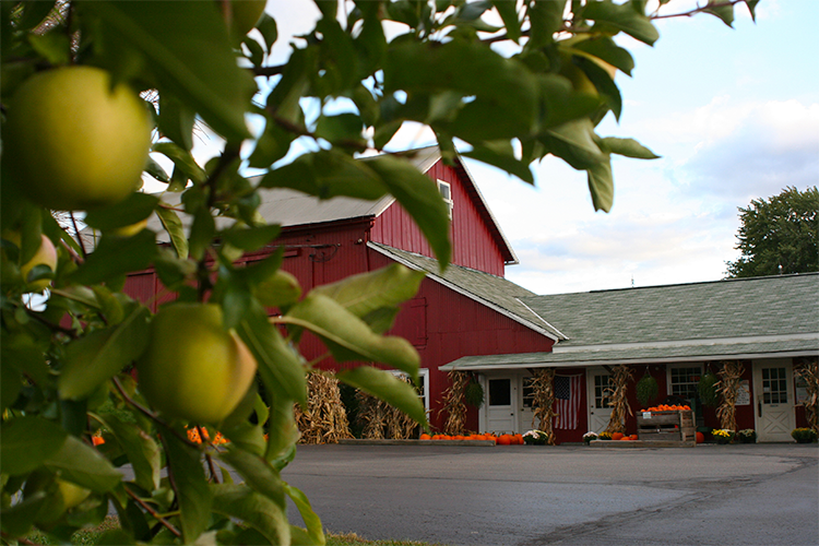 Sage's Apples | Cleveland Apple Orchard