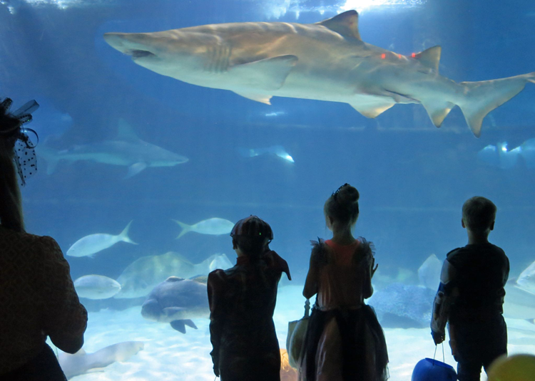 Hauntiquarium at The Greater Cleveland Aquarium