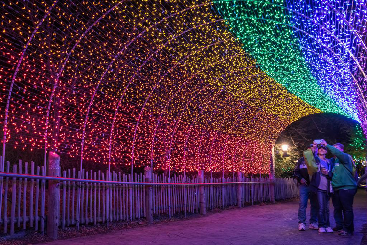 PNC-Festival-of-Lights