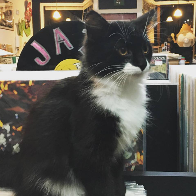 The Best Record Stores in Ohio